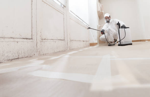 24/7 Emergency Bathroom Mold Removal experts in Oak Ridge, TN