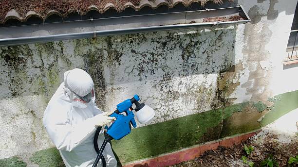 Top rated local Bathroom Mold Removal specialists in Oak Ridge, TN